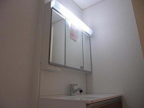 Wash basin, toilet. 1 Building vanity