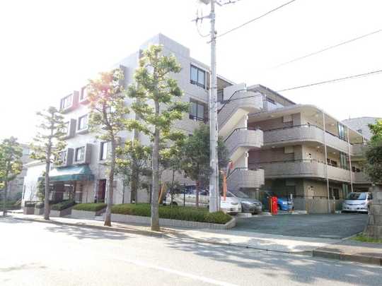 Local appearance photo. Appearance (1)