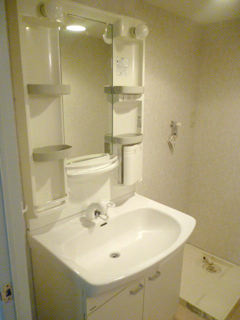Washroom. Vanity shower
