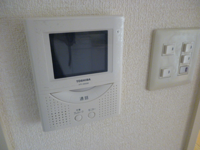 Security. Intercom with TV monitor