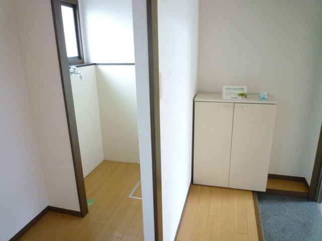 Entrance. Also missed the moisture there is a window in the washing machine Storage