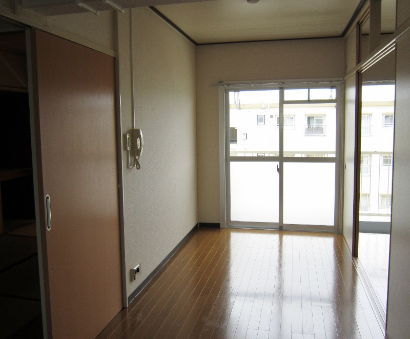 Living and room. Bright living room