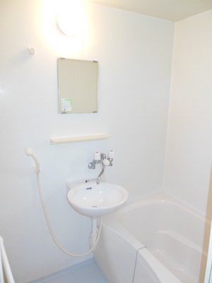 Bath. Beautiful bathroom