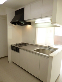 Kitchen. System kitchen, With gas two-burner grill