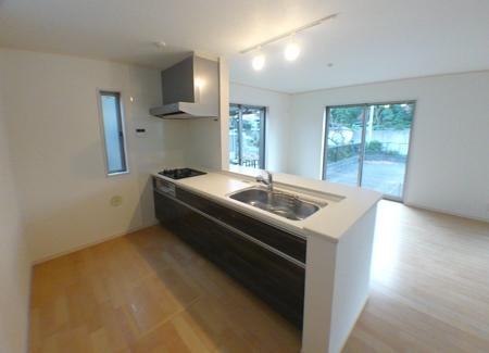 Kitchen. Indoor (12 May 2013) Shooting