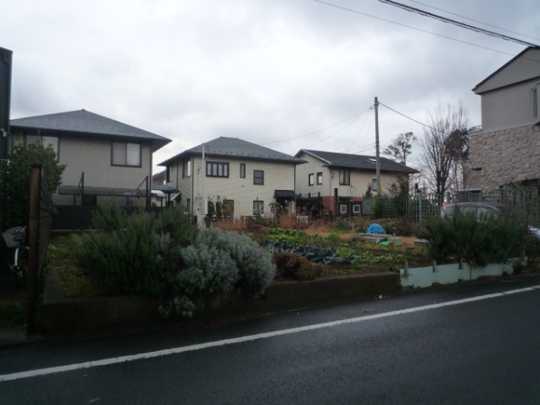 Local land photo. photo1