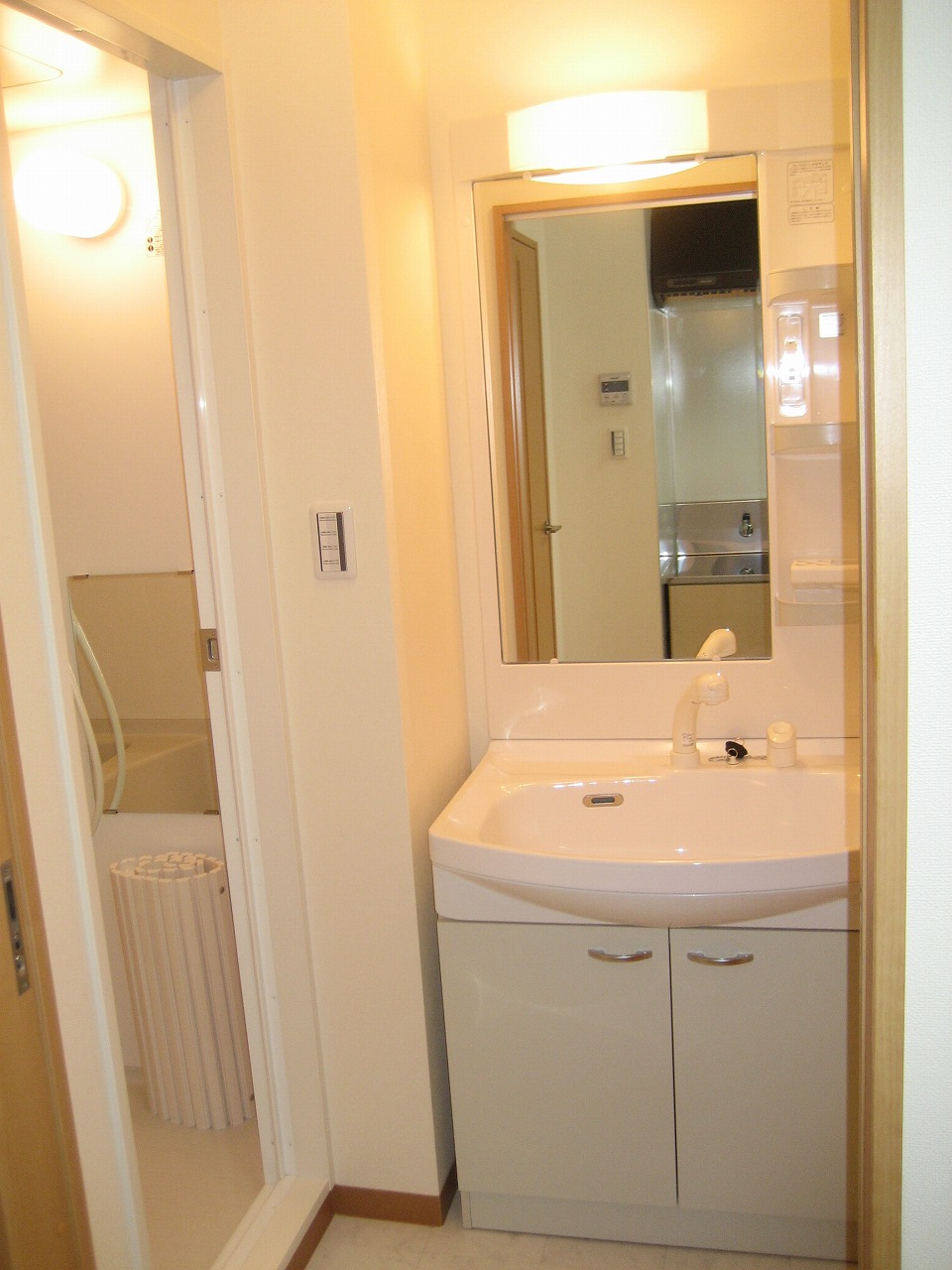 Washroom. Wide shower dresser washbasin