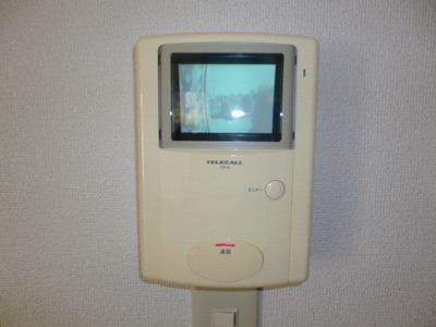 Security.  ☆  TV monitor phone of peace of mind  ☆ 