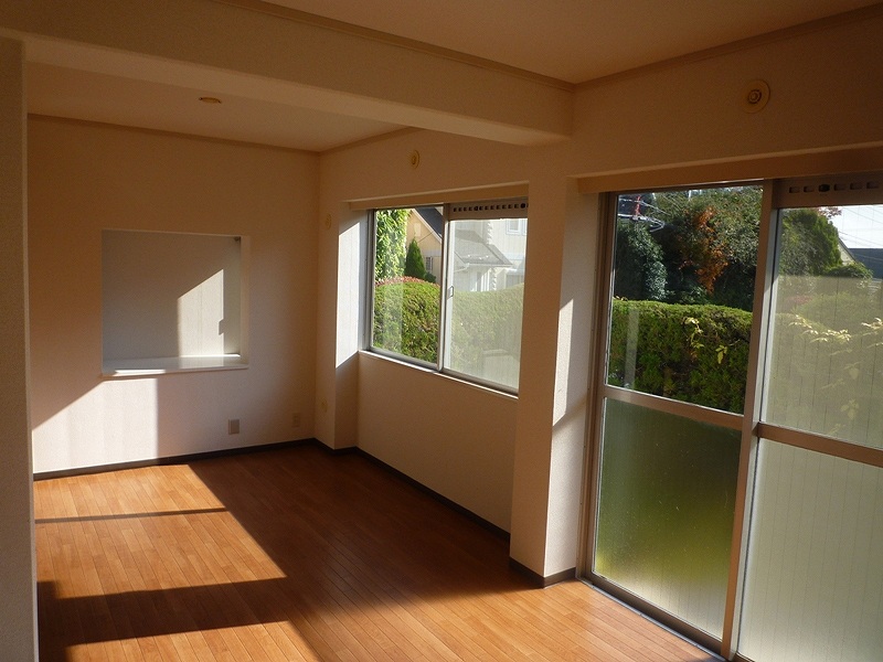 Living and room. Living