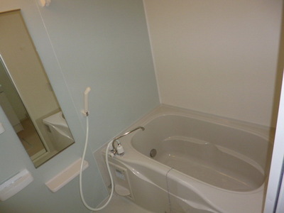 Bath. Bathing with a large mirror