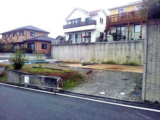 Local land photo. appearance