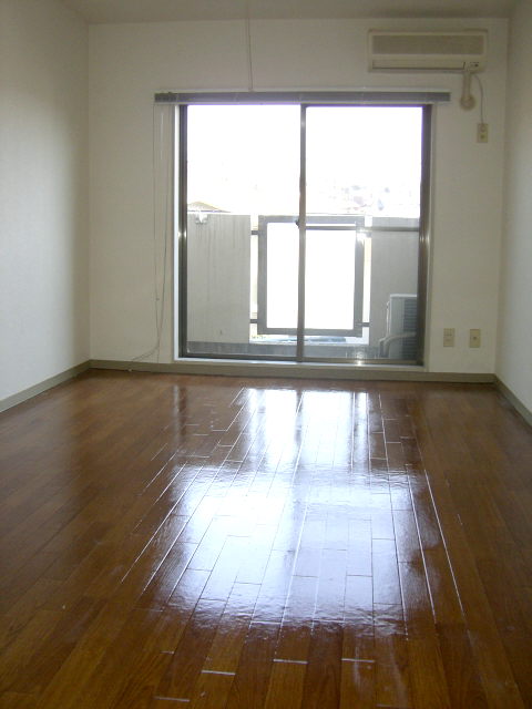 Living and room. Introspection