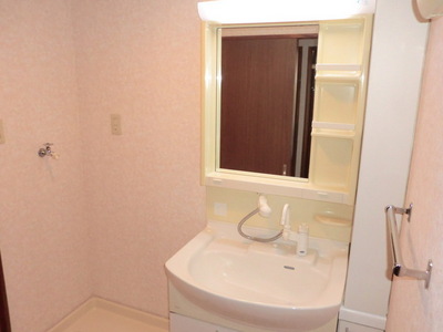 Washroom. Popular independent wash basin