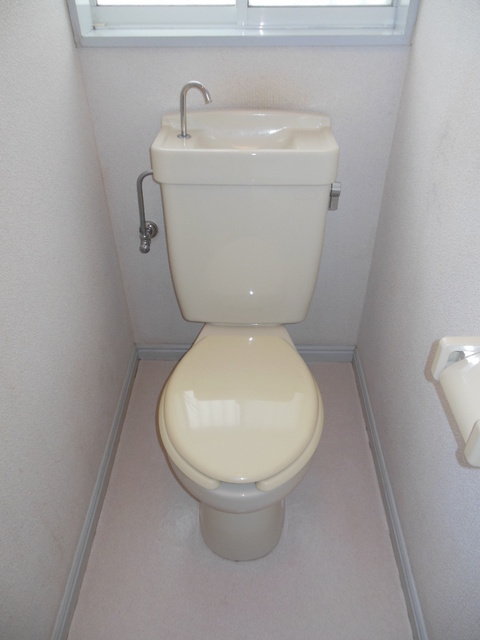 Toilet. Western-style toilet