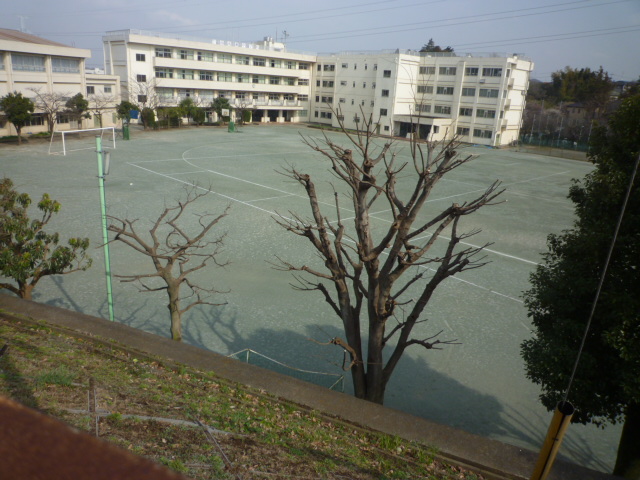 Junior high school. Minaminaruse 110m until junior high school (junior high school)