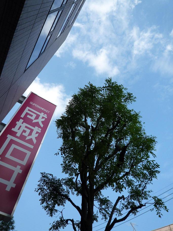 Supermarket. 870m to Seijo Ishii (super)