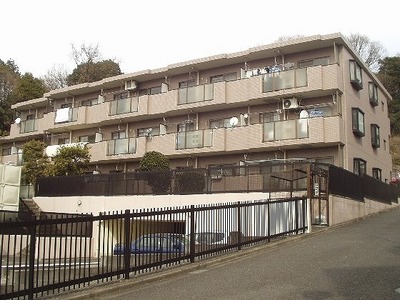 Building appearance. Appearance 2