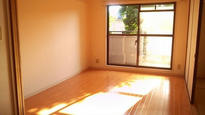 Living and room. Room 1