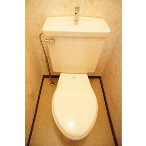 Living and room. Western style room