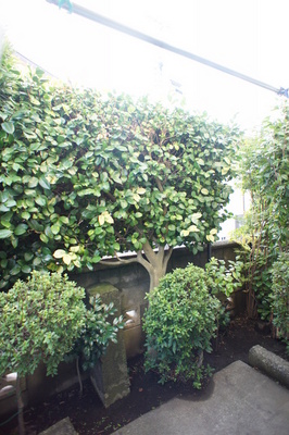 View. View from the balcony