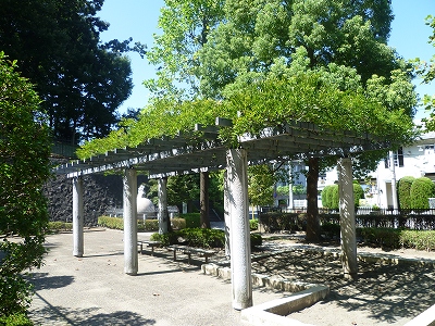 park. Pine needle park About 70m until the (park) 70m