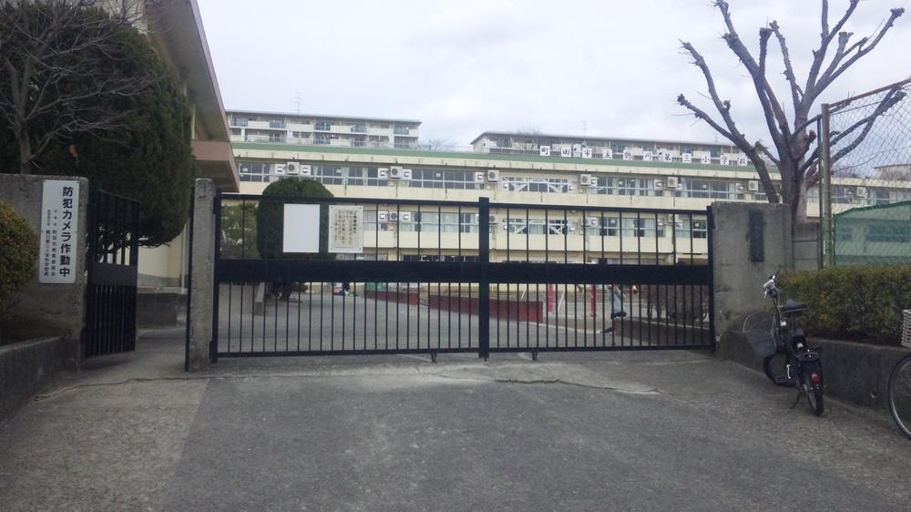 Primary school. To the third small 460m