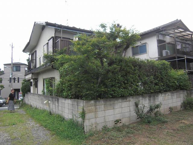 Local land photo. Local (September 2013) Shooting