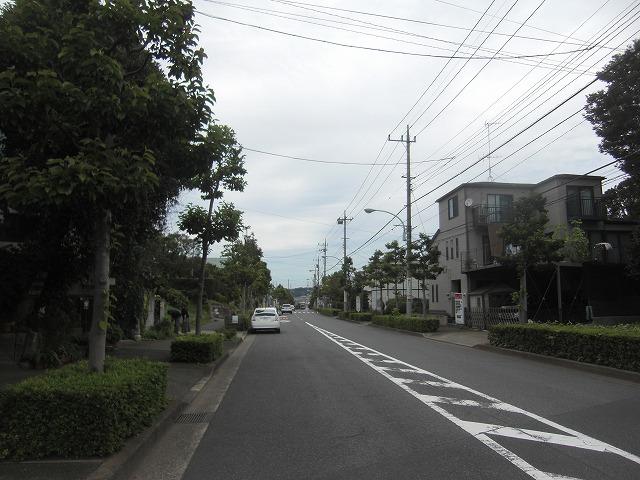 Local photos, including front road. Local (September 2013) Shooting