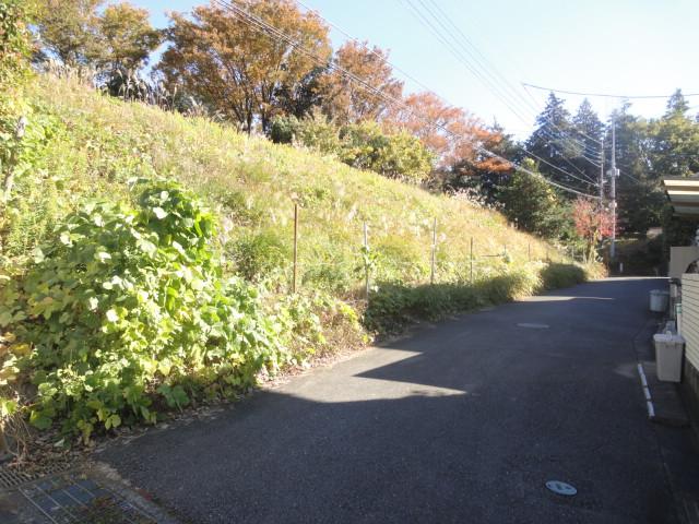 Local photos, including front road