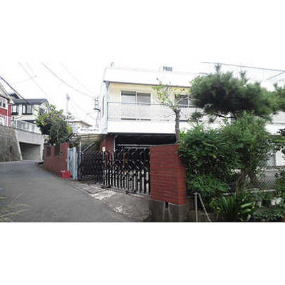 Local land photo. Appearance Photo 1