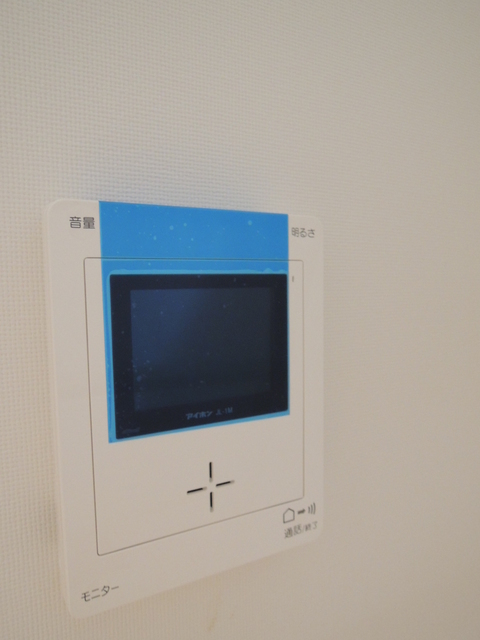 Security. Monitor with intercom