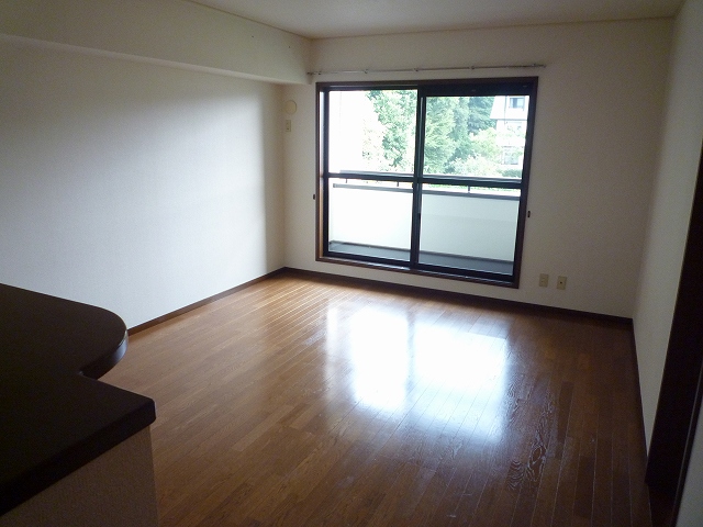 Living and room. Living