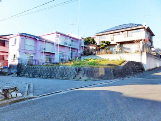 Local land photo. appearance