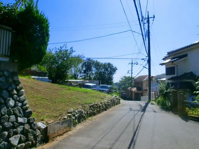 Local photos, including front road. Local (10 May 2013) Shooting