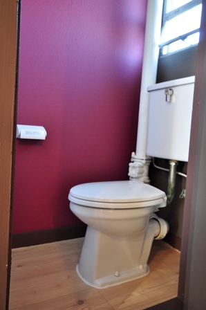 Toilet. Fashionable toilet in the dark pink crisp accent