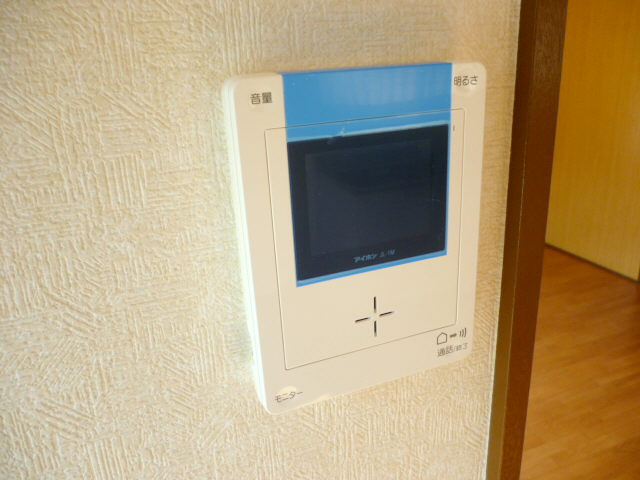 Security. TV monitor interphone