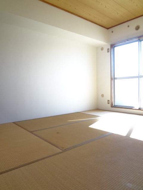 Other room space. Also jewels Japanese-style room