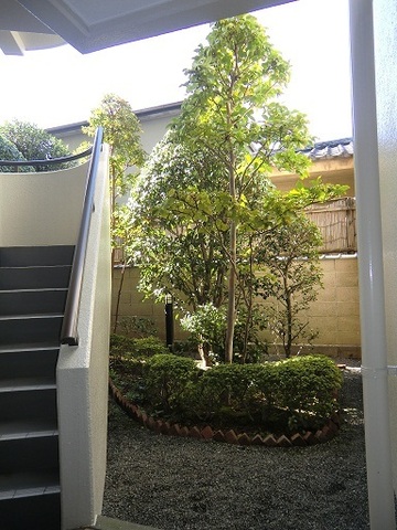 Garden. There is a courtyard. 