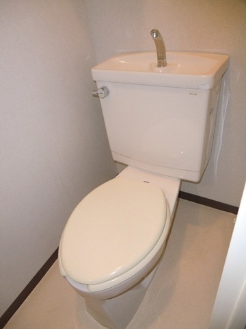 Toilet. Separate toilet With hand washing