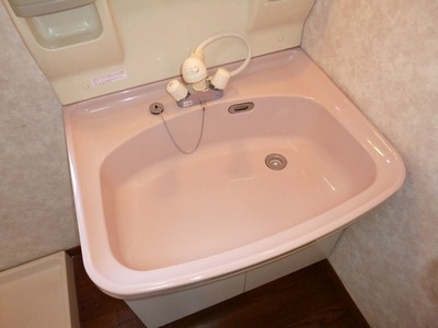 Washroom. Washbasin with shower