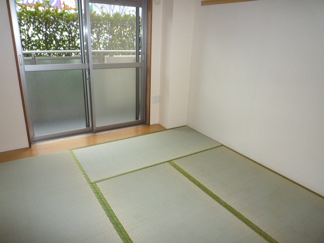 Other room space. Japanese style room
