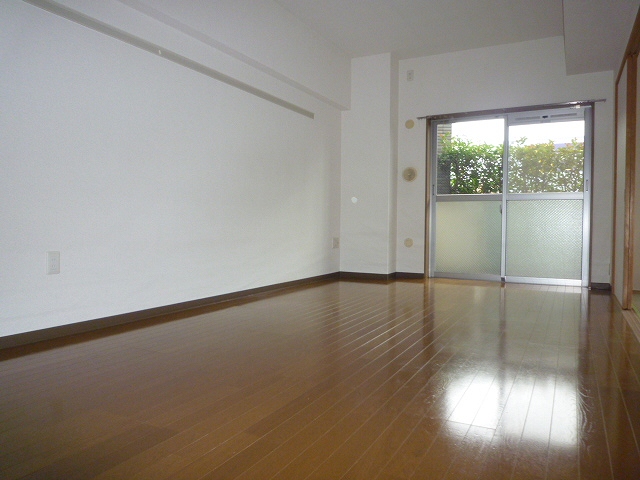 Living and room. Living