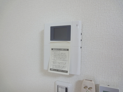 Security. Entrance monitor phone