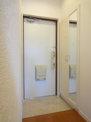 Entrance. Entrance space there is a full-length mirror