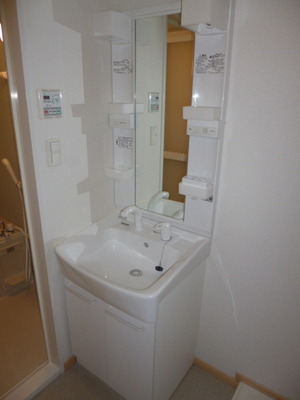 Washroom.  There washbasin independent 