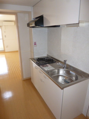 Kitchen.  Popular system Kitchen 