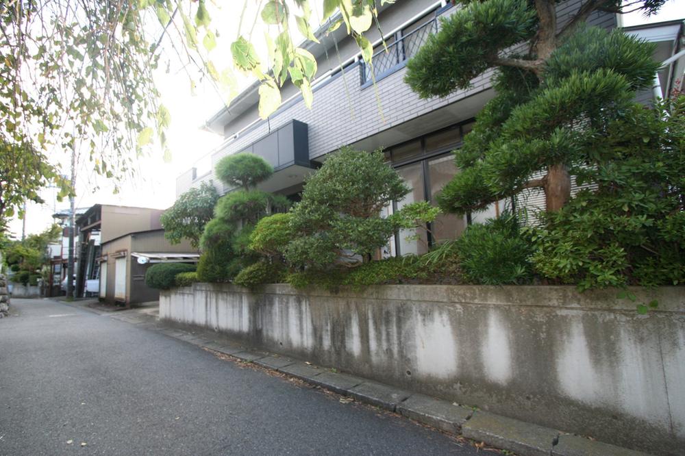 Local photos, including front road. Local (10 May 2012) shooting