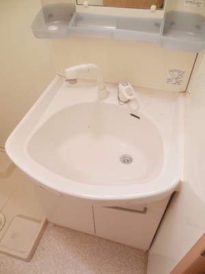 Washroom. Shampoo is vanity