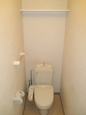Toilet. It is a toilet with a warm water washing toilet seat