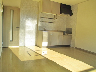 Living and room. Sunny living